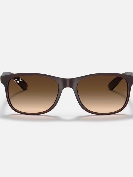 Ray-Ban Andy sunglasses (RB4202). Brown frame/brown gradient lenses main image 5